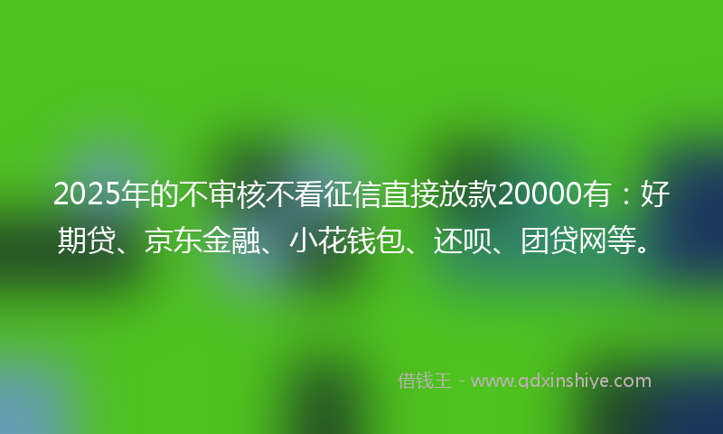 2025年的不审核不看征信直接放款20000有：好期贷、京东金融、小花钱包、还呗、团贷网等。