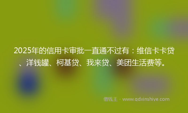 2025年的信用卡审批一直通不过有：维信卡卡贷、洋钱罐、柯基贷、我来贷、美团生活费等。