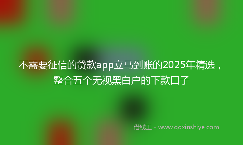 不需要征信的贷款app立马到账的2025年精选，整合五个无视黑白户的下款口子