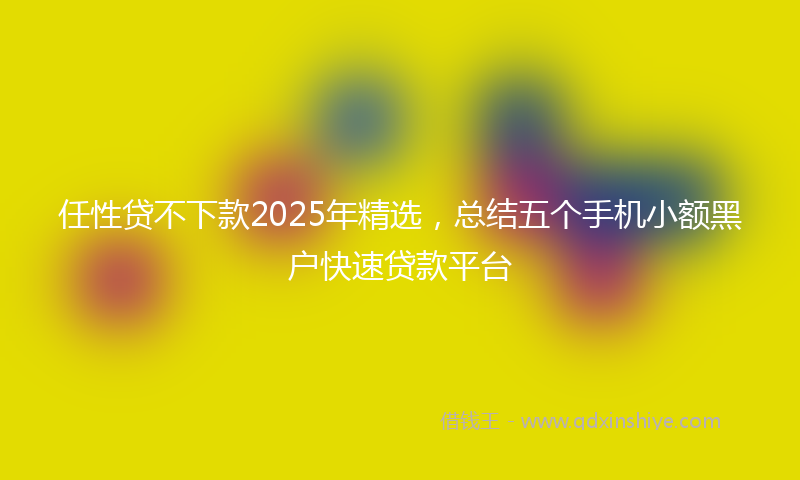 任性贷不下款2025年精选，总结五个手机小额黑户快速贷款平台