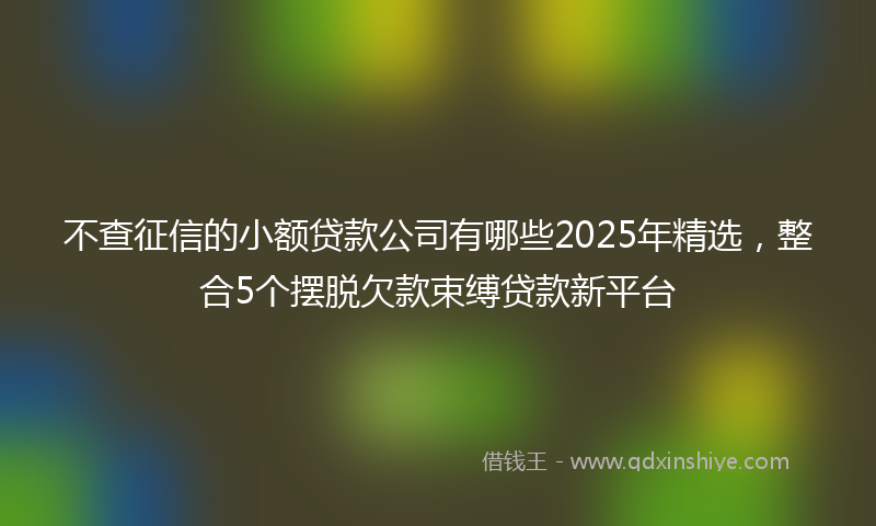 不查征信的小额贷款公司有哪些2025年精选，整合5个摆脱欠款束缚贷款新平台