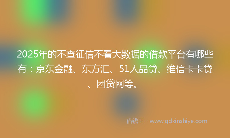 2025年的不查征信不看大数据的借款平台有哪些有：京东金融、东方汇、51人品贷、维信卡卡贷、团贷网等。