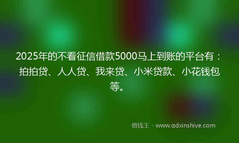2025年的不看征信借款5000马上到账的平台有：拍拍贷、人人贷、我来贷、小米贷款、小花钱包等。