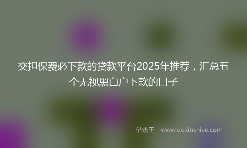 交担保费必下款的贷款平台2025年推荐，汇总五个无视黑白户下款的口子