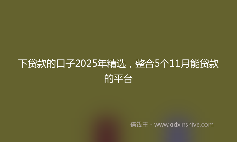 下贷款的口子2025年精选，整合5个11月能贷款的平台