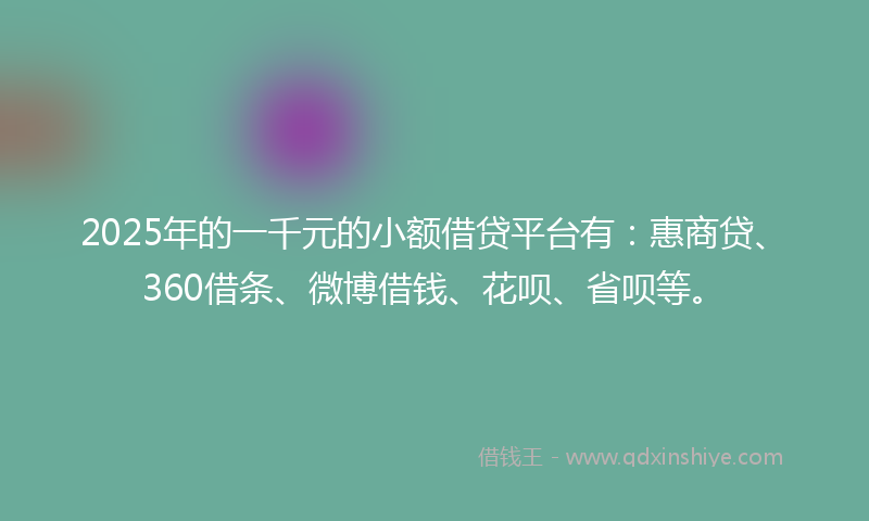 2025年的一千元的小额借贷平台有：惠商贷、360借条、微博借钱、花呗、省呗等。
