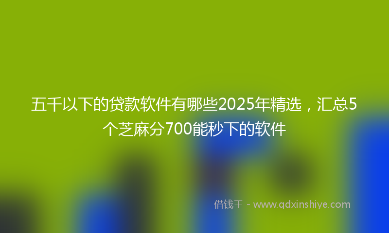 五千以下的贷款软件有哪些2025年精选，汇总5个芝麻分700能秒下的软件