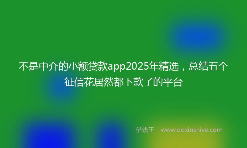 不是中介的小额贷款app2025年精选，总结五个征信花居然都下款了的平台