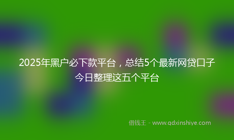 2025年黑户必下款平台，总结5个最新网贷口子今日整理这五个平台
