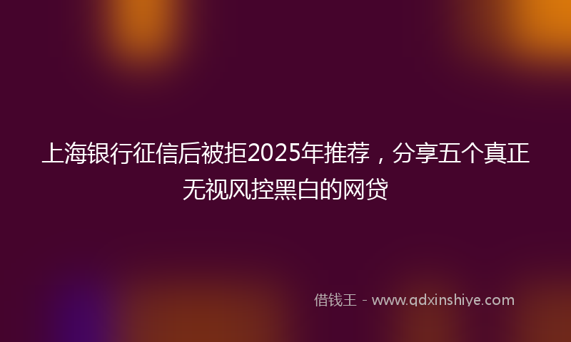 上海银行征信后被拒2025年推荐，分享五个真正无视风控黑白的网贷
