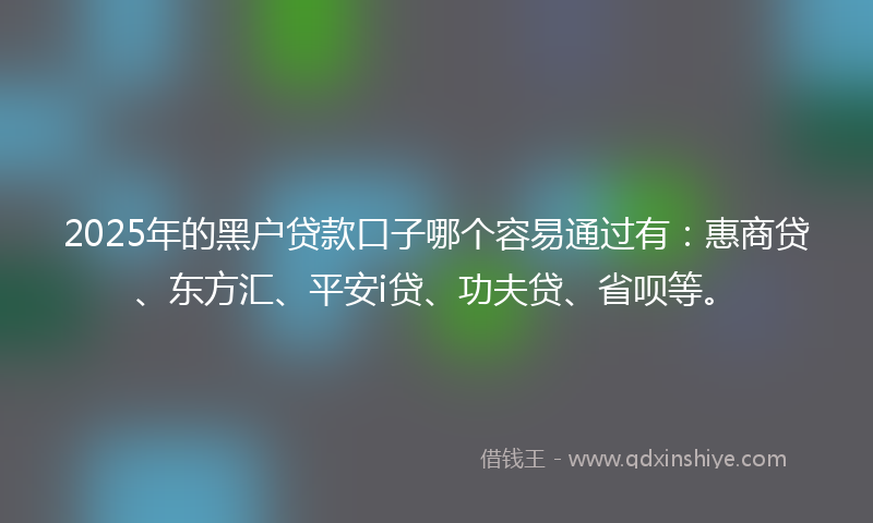 2025年的黑户贷款口子哪个容易通过有：惠商贷、东方汇、平安i贷、功夫贷、省呗等。