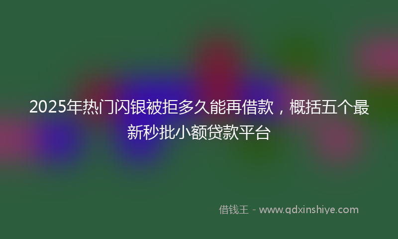 2025年热门闪银被拒多久能再借款，概括五个最新秒批小额贷款平台