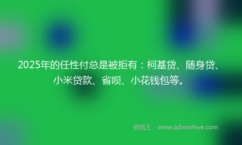 2025年的任性付总是被拒有：柯基贷、随身贷、小米贷款、省呗、小花钱包等。