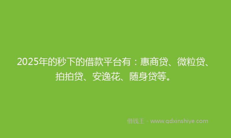 2025年的秒下的借款平台有：惠商贷、微粒贷、拍拍贷、安逸花、随身贷等。