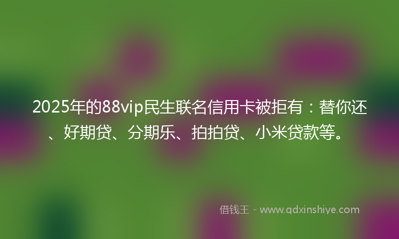 2025年的88vip民生联名信用卡被拒有：替你还、好期贷、分期乐、拍拍贷、小米贷款等。