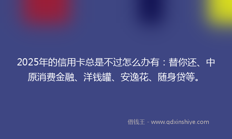 2025年的信用卡总是不过怎么办有：替你还、中原消费金融、洋钱罐、安逸花、随身贷等。