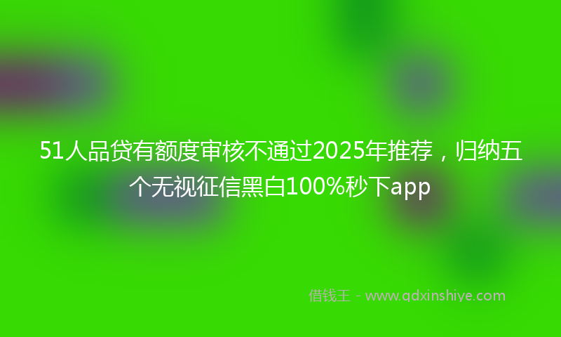 51人品贷有额度审核不通过2025年推荐，归纳五个无视征信黑白100%秒下app