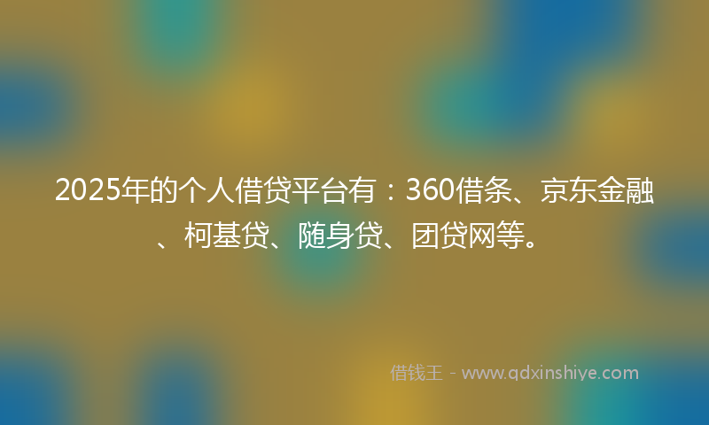 2025年的个人借贷平台有：360借条、京东金融、柯基贷、随身贷、团贷网等。