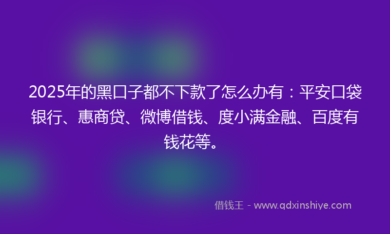 2025年的黑口子都不下款了怎么办有：平安口袋银行、惠商贷、微博借钱、度小满金融、百度有钱花等。