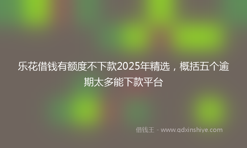 乐花借钱有额度不下款2025年精选，概括五个逾期太多能下款平台