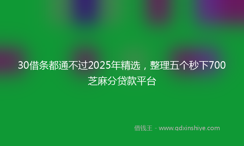 30借条都通不过2025年精选，整理五个秒下700芝麻分贷款平台