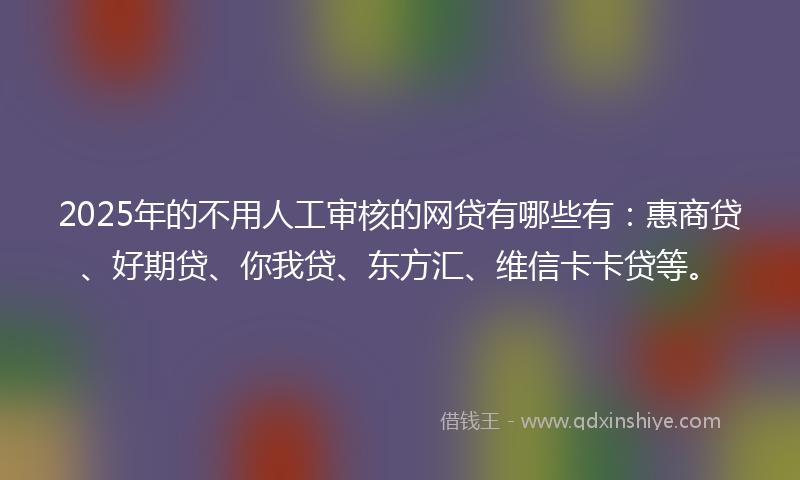 2025年的不用人工审核的网贷有哪些有：惠商贷、好期贷、你我贷、东方汇、维信卡卡贷等。