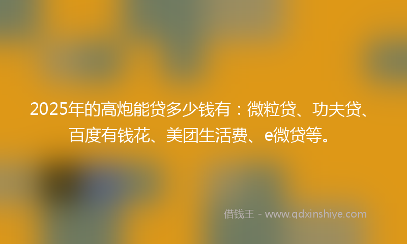2025年的高炮能贷多少钱有：微粒贷、功夫贷、百度有钱花、美团生活费、e微贷等。
