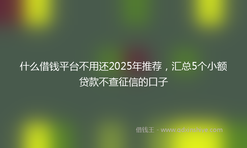 什么借钱平台不用还2025年推荐，汇总5个小额贷款不查征信的口子