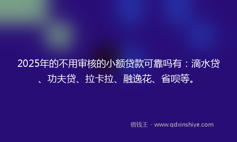 2025年的不用审核的小额贷款可靠吗有：滴水贷、功夫贷、拉卡拉、融逸花、省呗等。