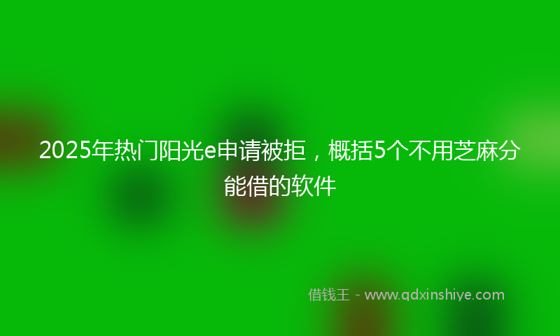 2025年热门阳光e申请被拒，概括5个不用芝麻分能借的软件