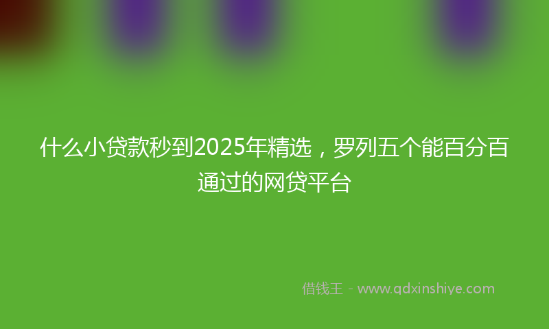 什么小贷款秒到2025年精选，罗列五个能百分百通过的网贷平台
