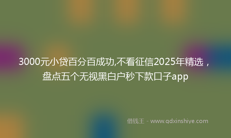 3000元小贷百分百成功,不看征信2025年精选，盘点五个无视黑白户秒下款口子app
