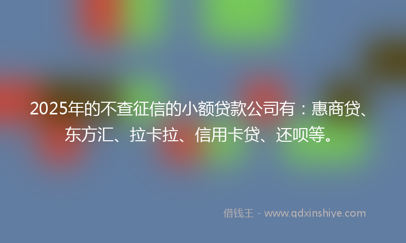 2025年的不查征信的小额贷款公司有：惠商贷、东方汇、拉卡拉、信用卡贷、还呗等。