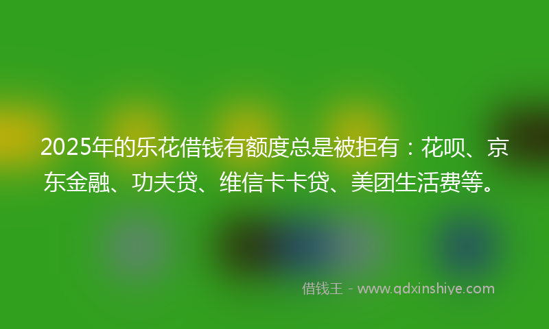 2025年的乐花借钱有额度总是被拒有：花呗、京东金融、功夫贷、维信卡卡贷、美团生活费等。