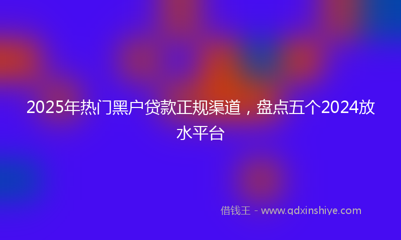 2025年热门黑户贷款正规渠道，盘点五个2024放水平台