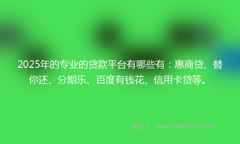 2025年的专业的贷款平台有哪些有：惠商贷、替你还、分期乐、百度有钱花、信用卡贷等。