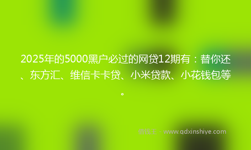 2025年的5000黑户必过的网贷12期有：替你还、东方汇、维信卡卡贷、小米贷款、小花钱包等。
