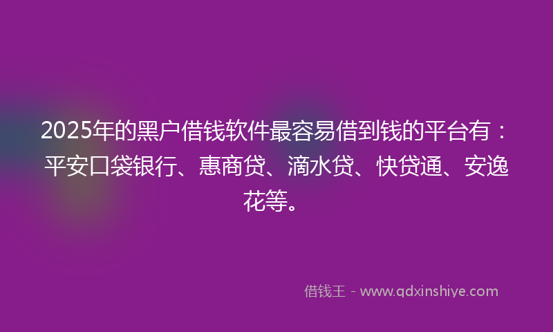 2025年的黑户借钱软件最容易借到钱的平台有：平安口袋银行、惠商贷、滴水贷、快贷通、安逸花等。