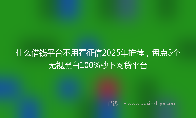 什么借钱平台不用看征信2025年推荐，盘点5个无视黑白100%秒下网贷平台