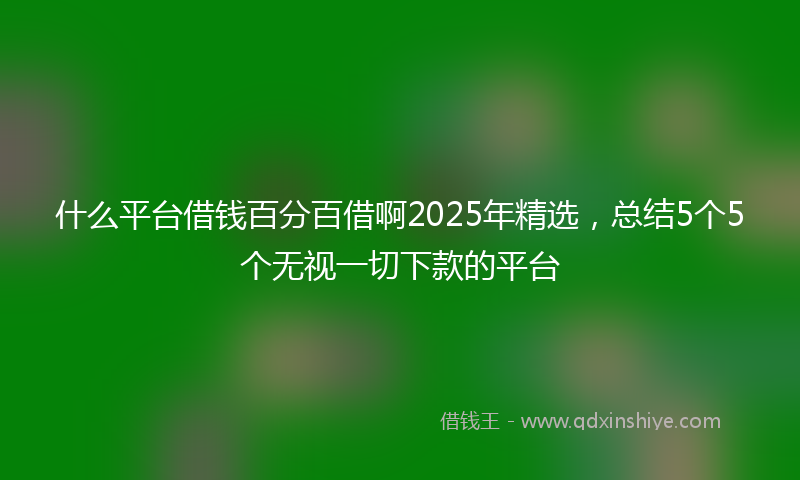 什么平台借钱百分百借啊2025年精选，总结5个5个无视一切下款的平台