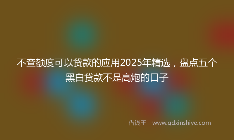 不查额度可以贷款的应用2025年精选，盘点五个黑白贷款不是高炮的口子