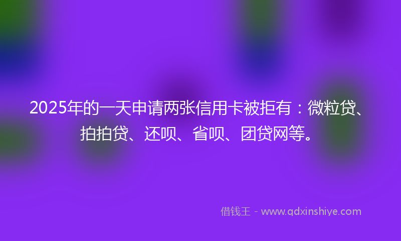 2025年的一天申请两张信用卡被拒有：微粒贷、拍拍贷、还呗、省呗、团贷网等。