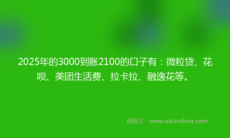 2025年的3000到账2100的口子有：微粒贷、花呗、美团生活费、拉卡拉、融逸花等。