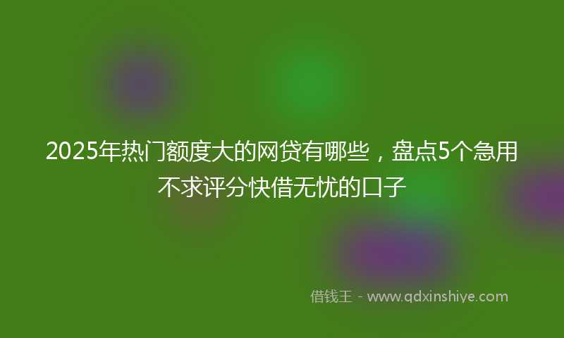2025年热门额度大的网贷有哪些，盘点5个急用不求评分快借无忧的口子
