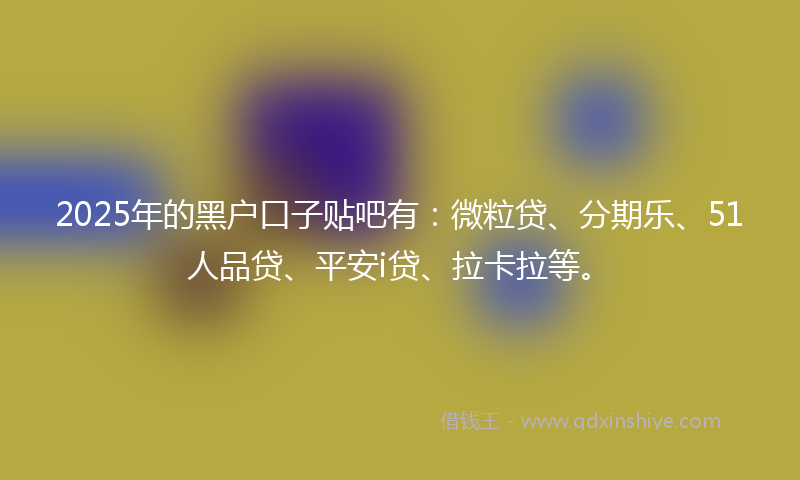 2025年的黑户口子贴吧有：微粒贷、分期乐、51人品贷、平安i贷、拉卡拉等。