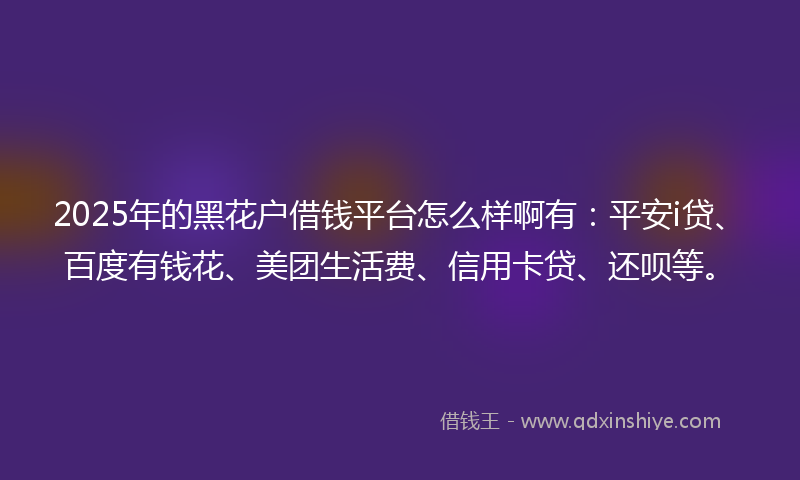 2025年的黑花户借钱平台怎么样啊有：平安i贷、百度有钱花、美团生活费、信用卡贷、还呗等。