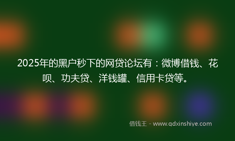 2025年的黑户秒下的网贷论坛有：微博借钱、花呗、功夫贷、洋钱罐、信用卡贷等。