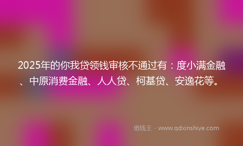 2025年的你我贷领钱审核不通过有：度小满金融、中原消费金融、人人贷、柯基贷、安逸花等。