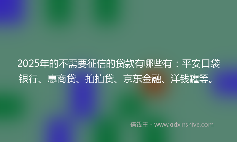 2025年的不需要征信的贷款有哪些有：平安口袋银行、惠商贷、拍拍贷、京东金融、洋钱罐等。