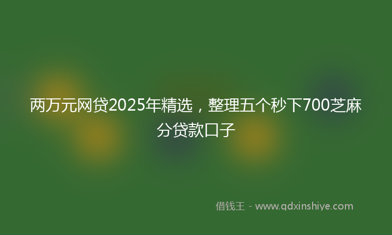 两万元网贷2025年精选，整理五个秒下700芝麻分贷款口子